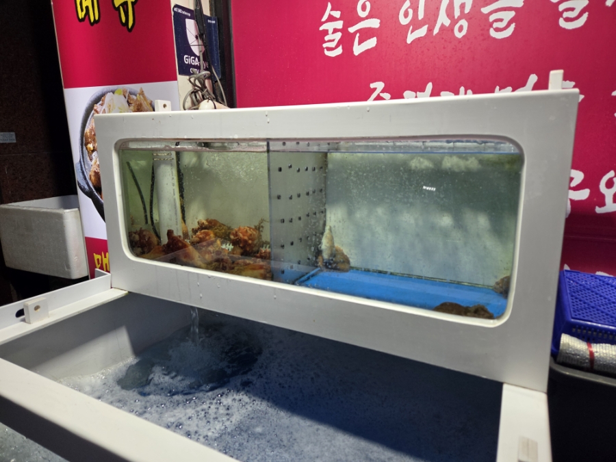 금이포차 사진 2