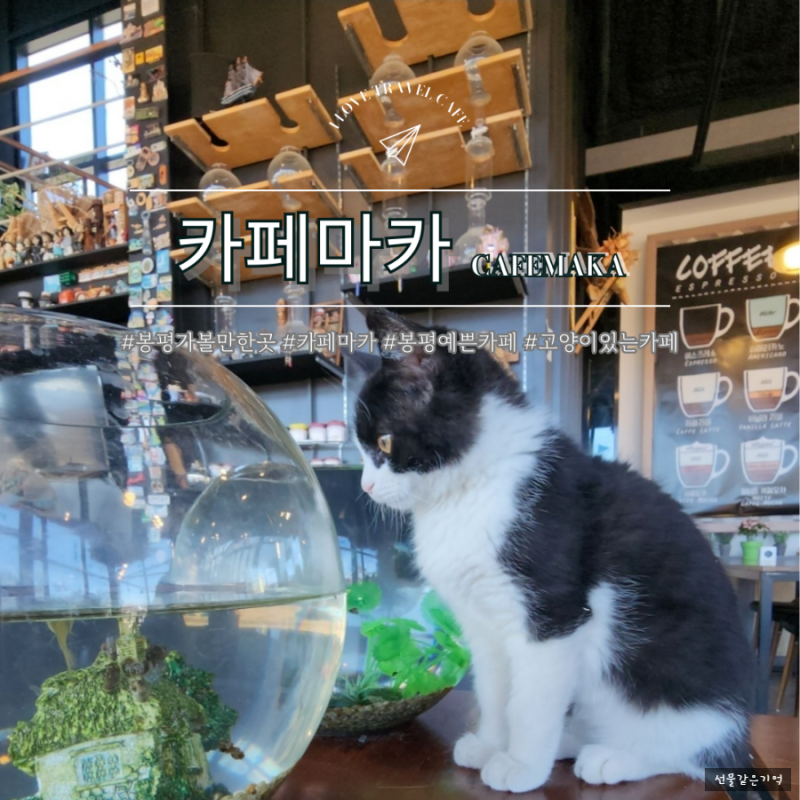 사진 3