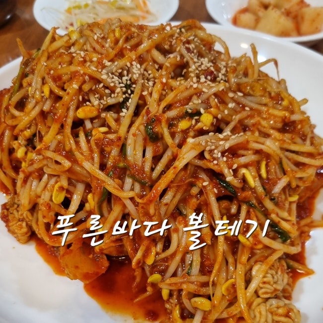 푸른바다볼테기 사진 1