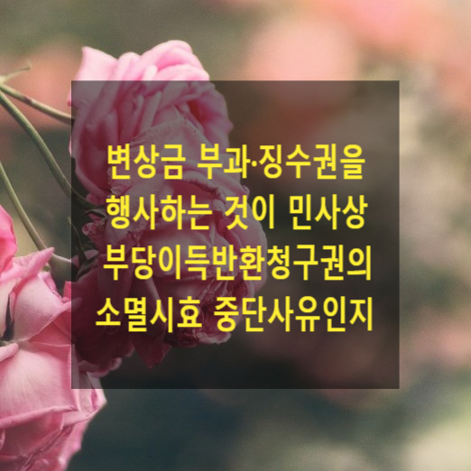  변상금 부과·징수권을 행사하는 것이 민사상 부당이득반환청구권의 소멸시효 중단사유가 되는지