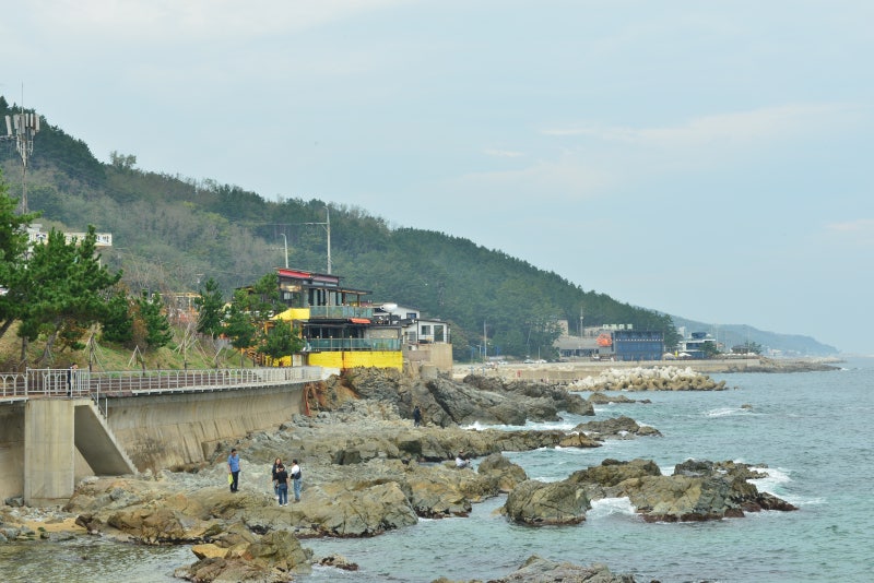 사진 3