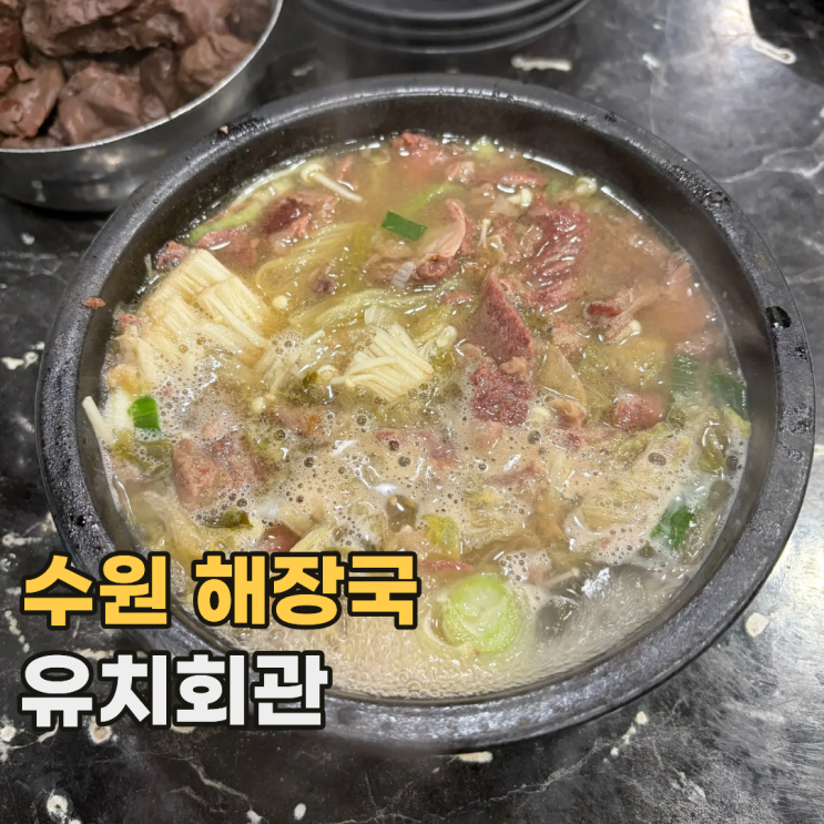  수원 유치회관 본점 줄 서서 먹는 인계동 선지 해장국 맛집