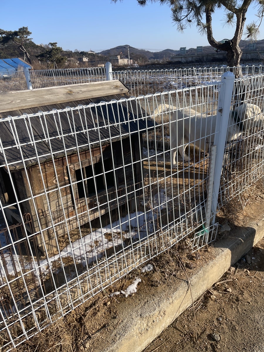 초이한옥카페 사진 5