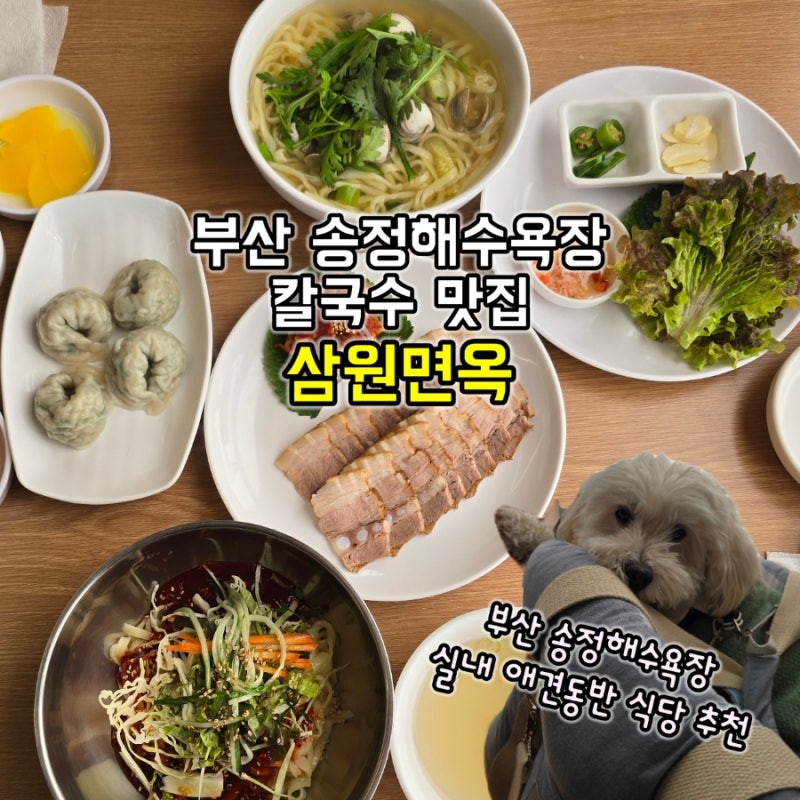 부산 송정해수욕장맛집 삼원면옥 실내 애견동반가능 식당 가성비 칼국수 보쌈 밀면 해운대....