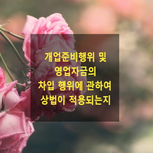 개업준비행위 및 영엉자금의 차입 행위에 관하여 상법이 적용되는지