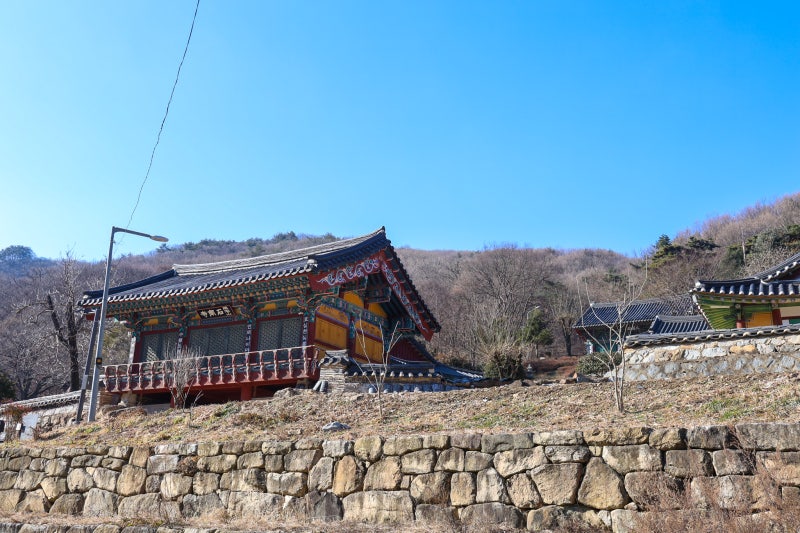 사진 9