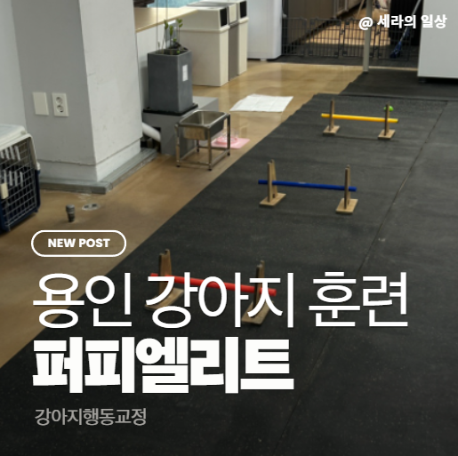 사진 2