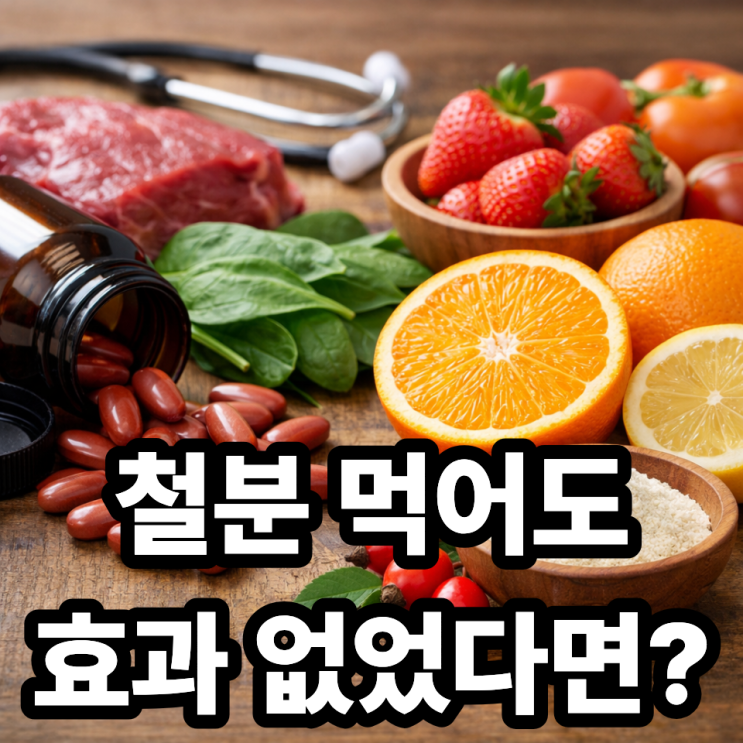  철분 영양제와 비타민C 함께 먹어야 하는 이유｜흡수율 차이 이렇게 큽니다