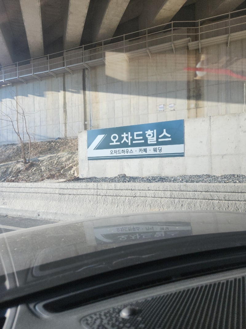 사진 6