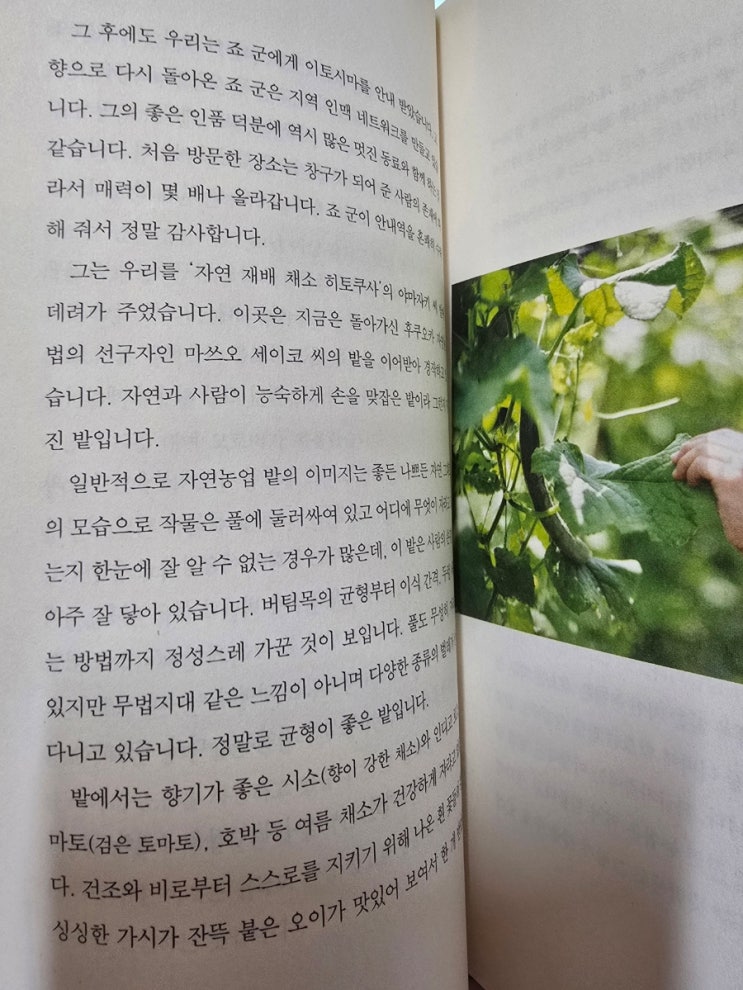  여행하는 채소 가게 - 저자스즈키 뎃페이,야마시로 도오루