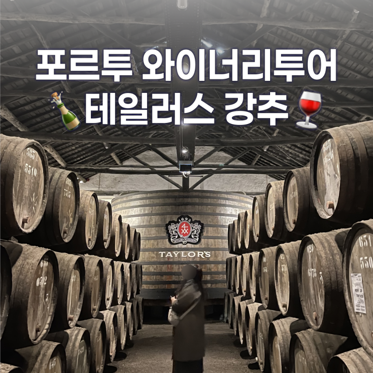  포르투 테일러스 와이너리 투어 추천, 예약, 입장권 구매
