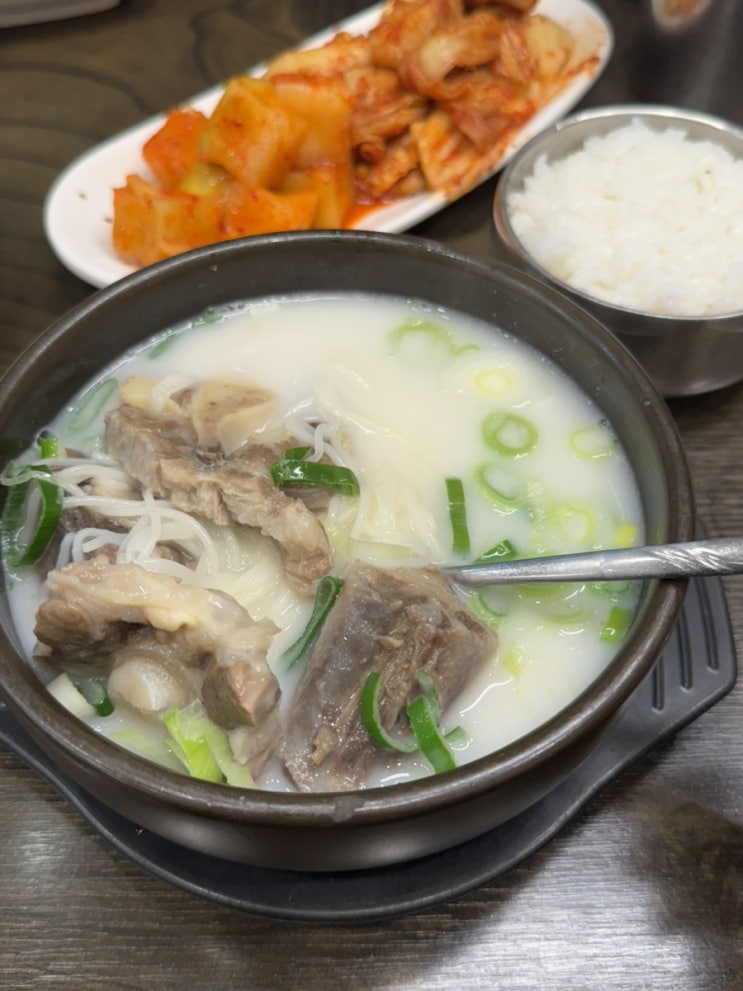  광주 광산구 곰탕 맛집, 국물 진해서 기억에 남은 대양꼬리곰탕