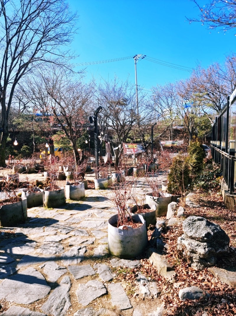 사진 6
