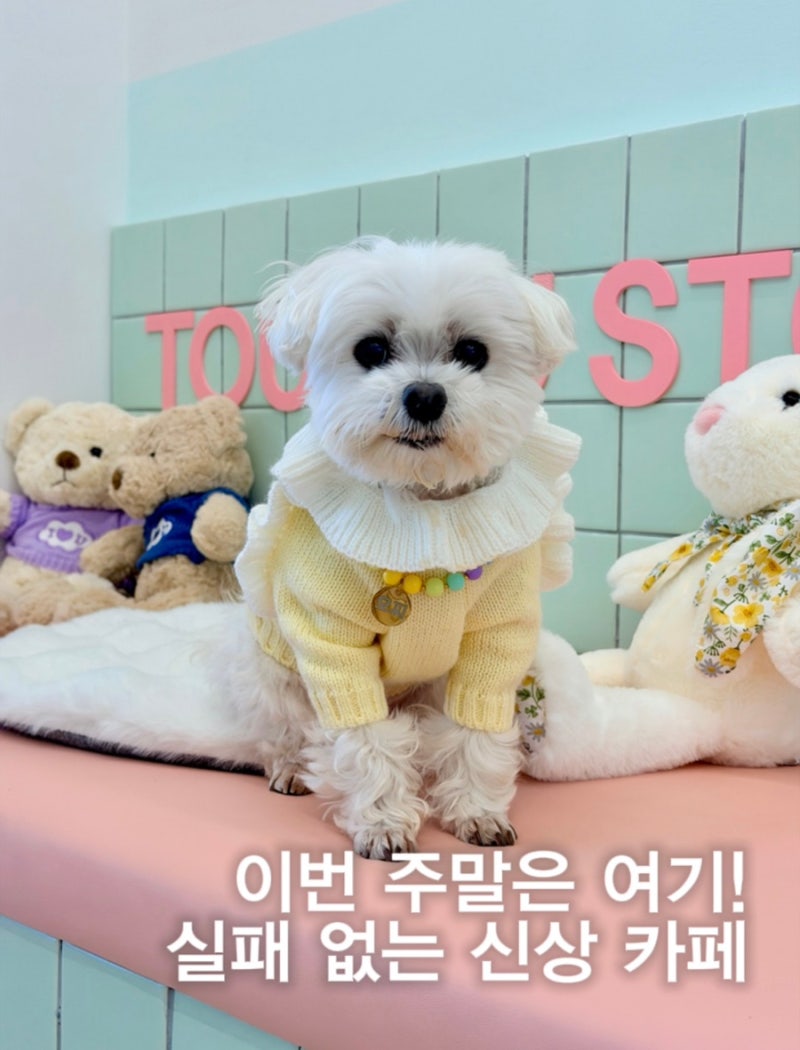 사진 2