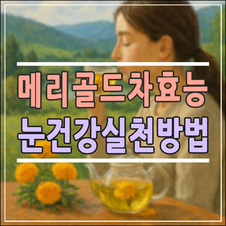  눈 침침함 잡는 '천연 루테인' 메리골드차 효능 5가지와 부작용