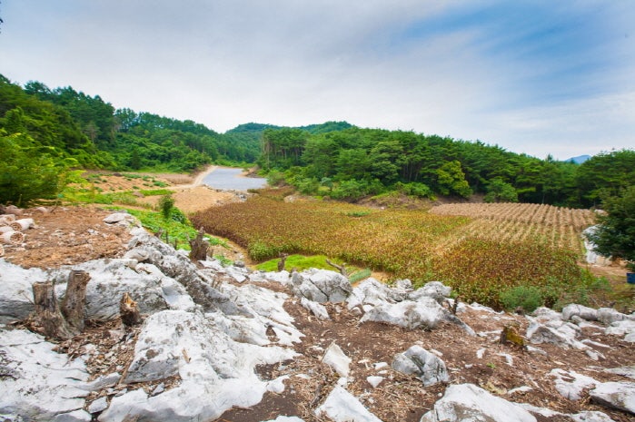재치산 사진 4