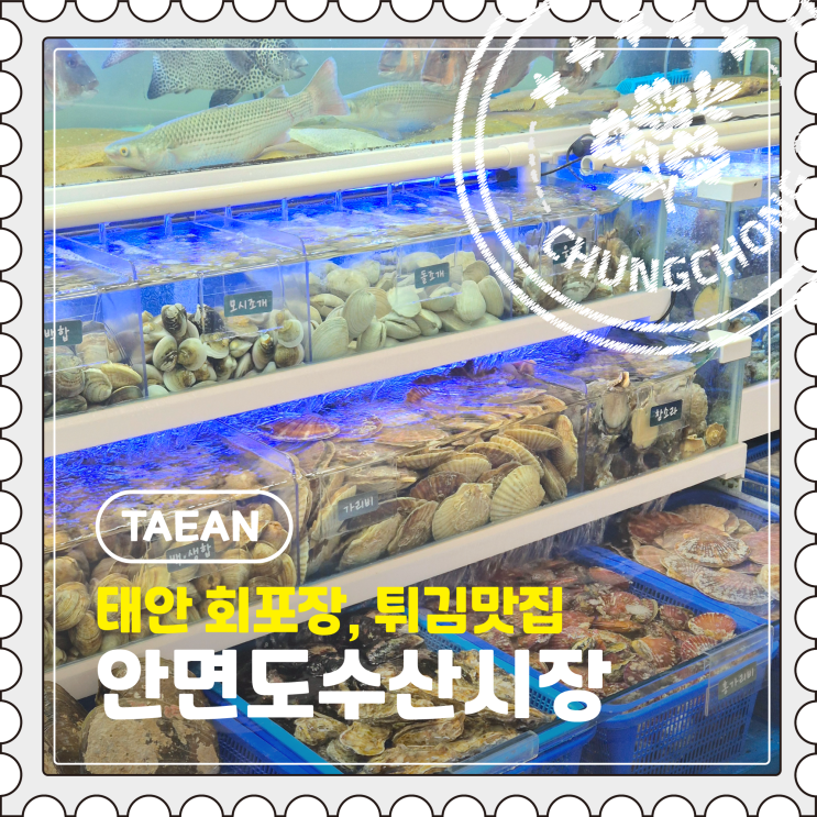  [태안] 로컬 먹거리 여행, 가성비 회포장 튀김 맛집 추천 "안면도수산시장"