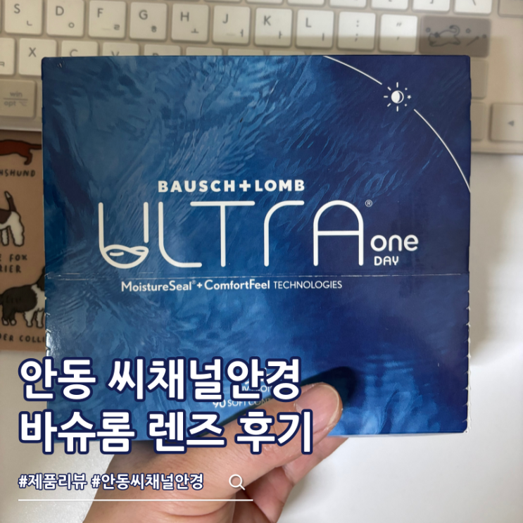  바슈롬 렌즈 구매기 안동 씨채널안경 1주년 행사