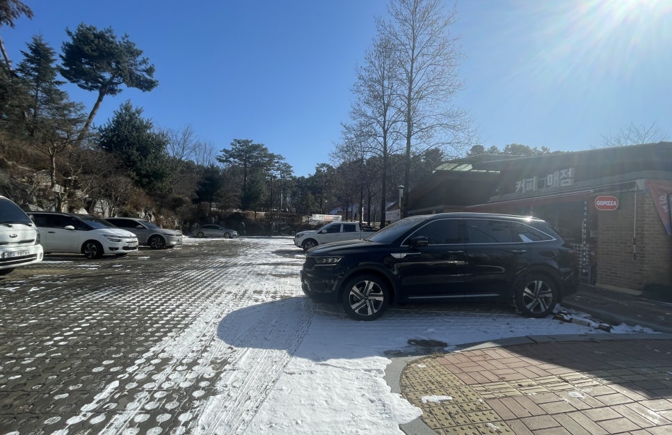 고피자 용인만골공원점 사진 4