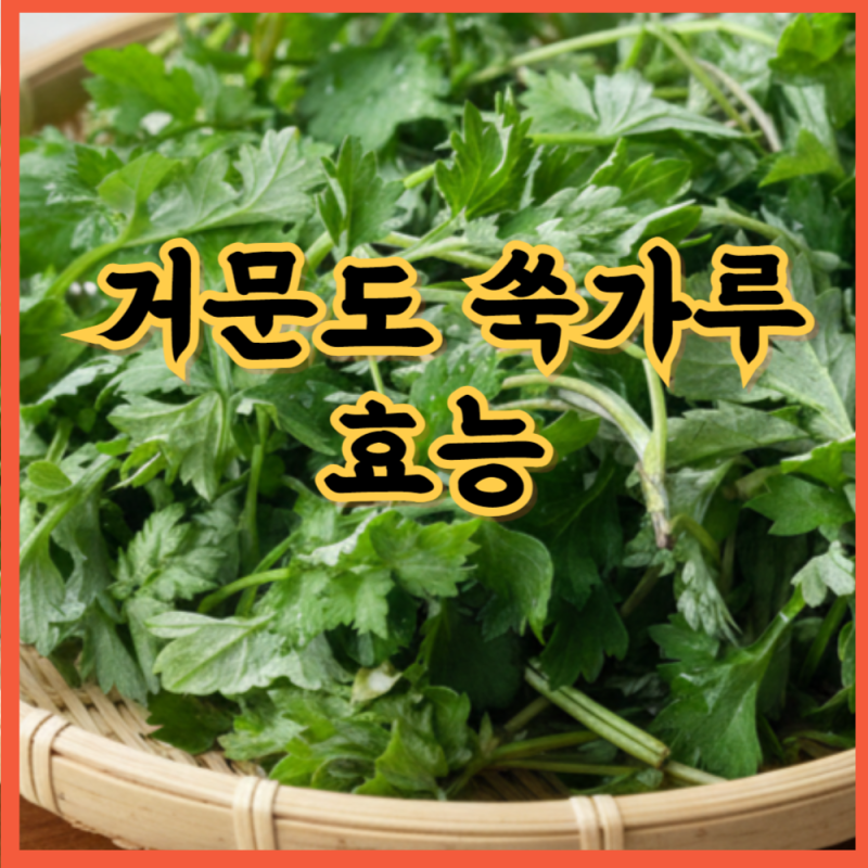 거문도 쑥가루 효능부터 쑥라떼 레시피까지 총정리
