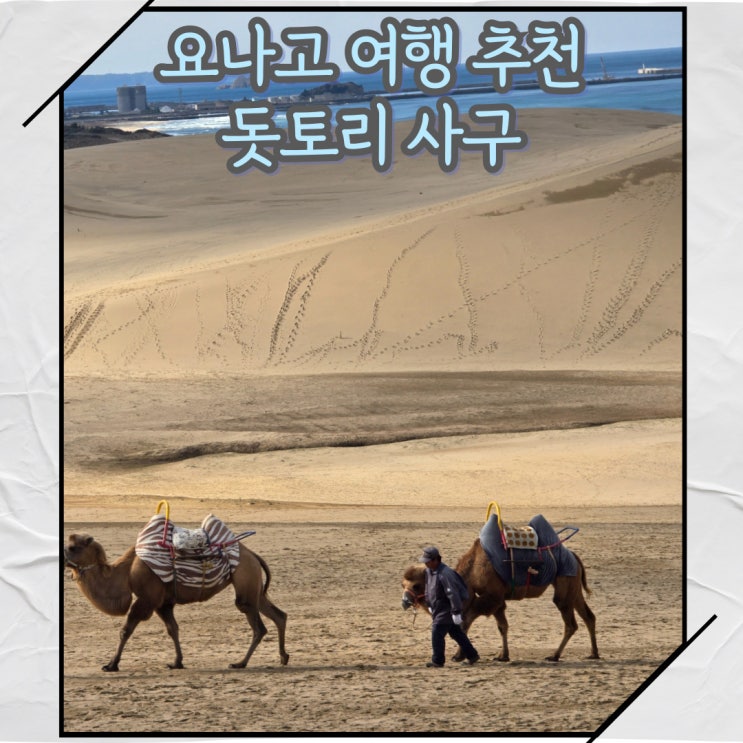  요나고 여행 돗토리 사구 및 모래미술관(박물관) 버스 방문방법 및 후기