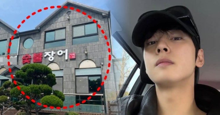  차은우, 200억 탈세 의혹 논란… ‘강화도 장어집=1인 기획사?’ 의혹의 실체는 무엇일까 (+세금·사실관계 정리)