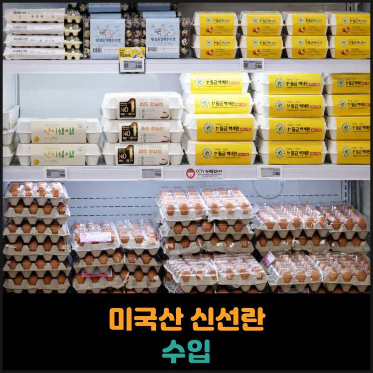  미국산 신선란 수입