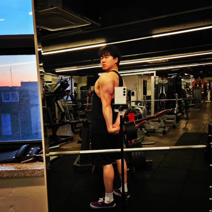260124 삼두 이두 4분할 운동루틴 식단관리 체형분석