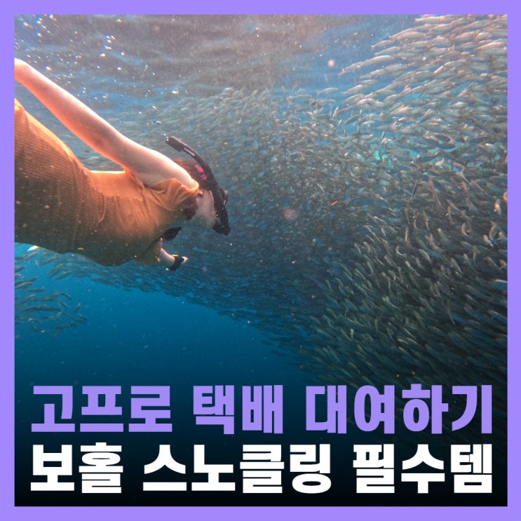  인천공항 보홀 고프로 대여 렌탈 스노클링 여행