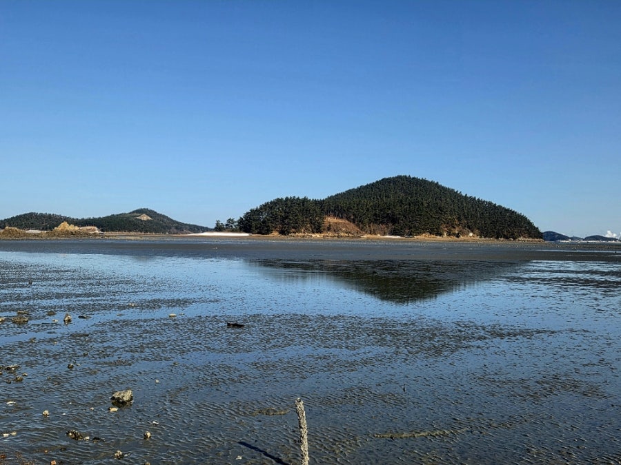 솔섬 사진 1