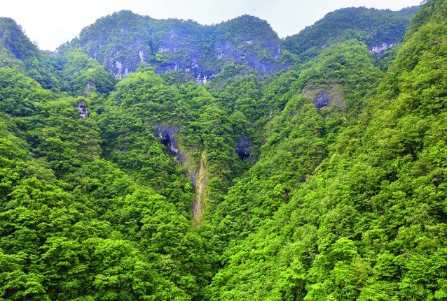 재치산 사진 1