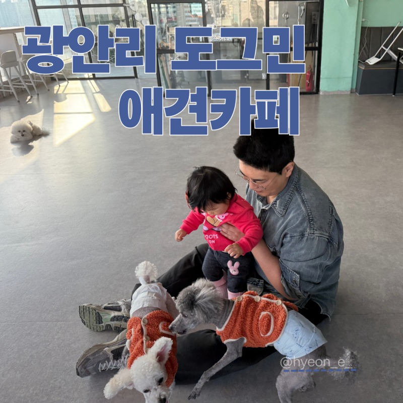 사진 6