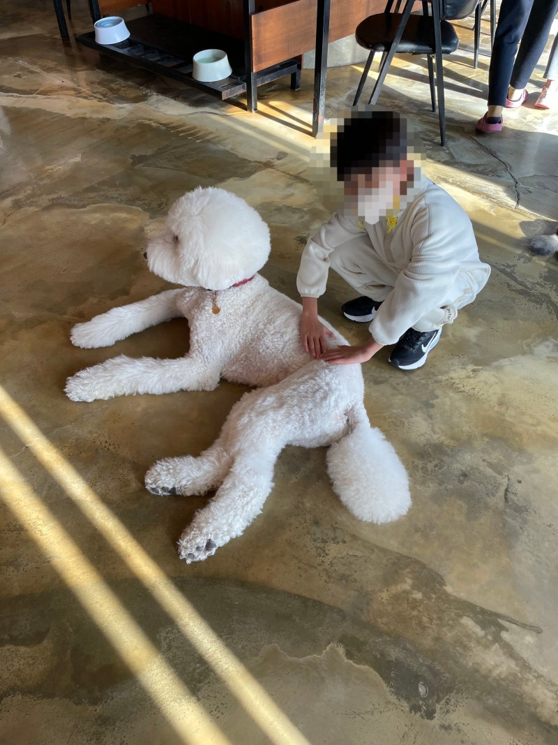 사진 7
