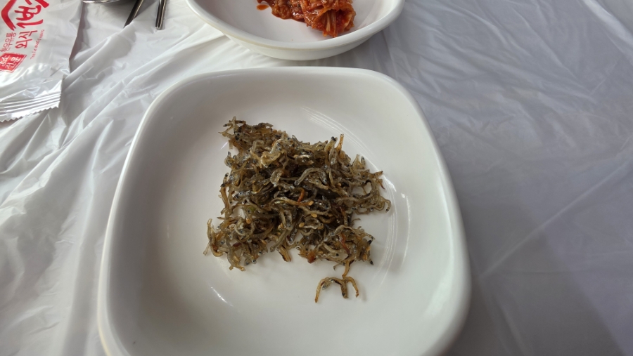 포항물곰 사진 3