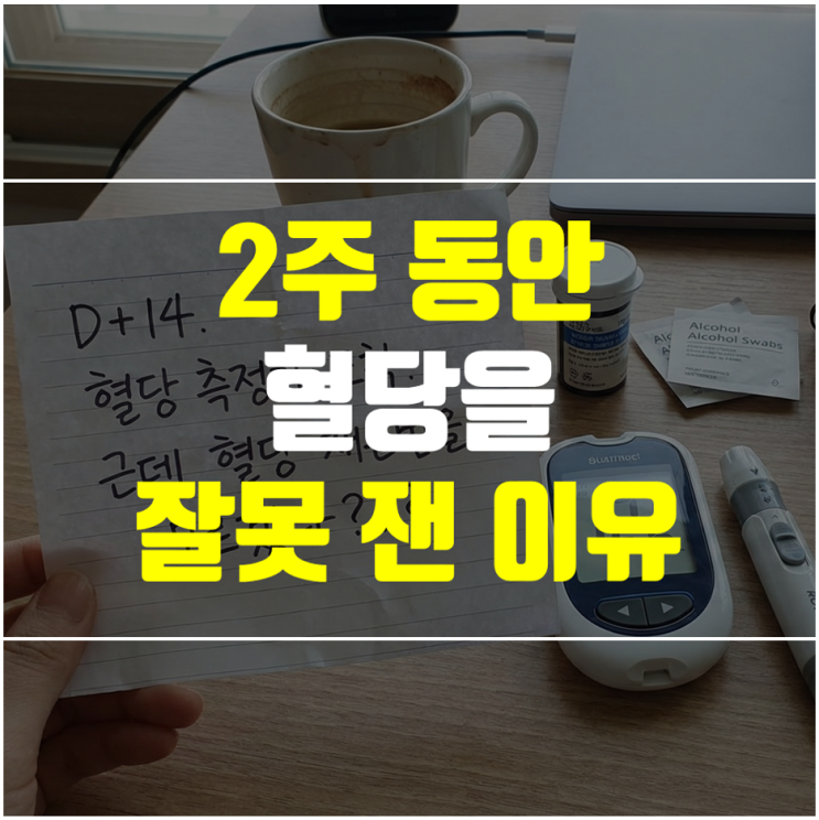  혈당 재는 법 완벽 정리 - 식후 혈당·공복혈당 측정기
