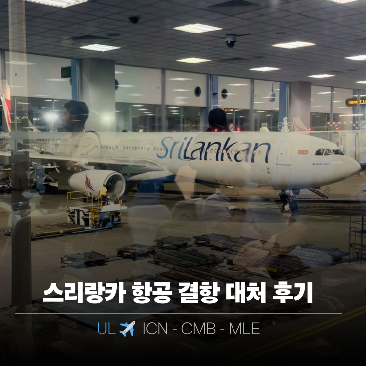  몰디브 항공권 스리랑카 항공 결항, 기내식, 콜롬보 환승 후기