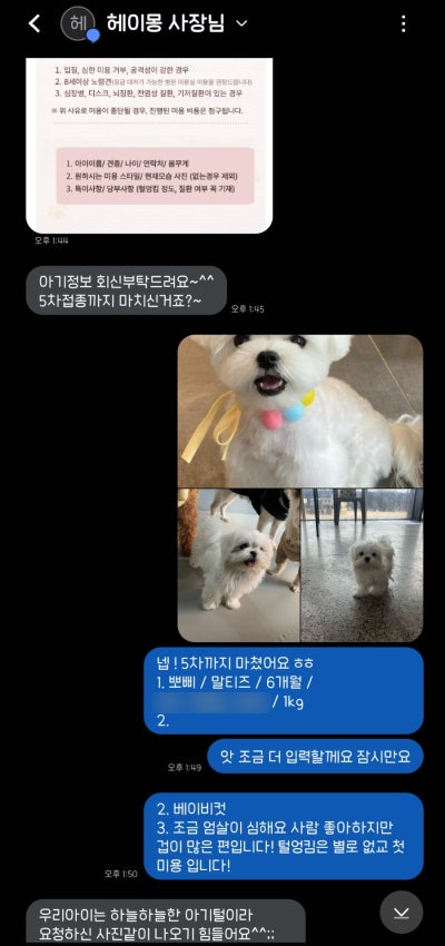 사진 3