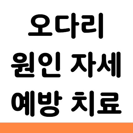  오다리 원인 자세 예방 치료