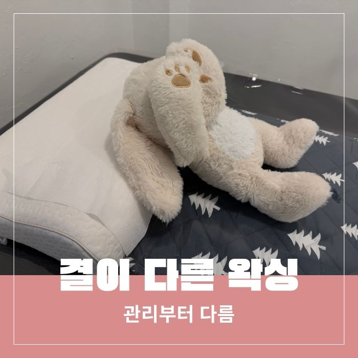  봉천역 왁싱 후기 통증 부담 적었던 하드 왁싱 경험