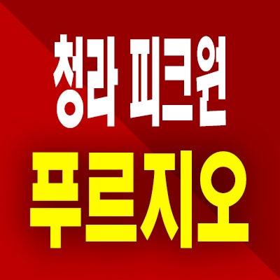  인천 청라 피크원 푸르지오 분양가 청라동 주거용 오피스텔 미분양 공급내용