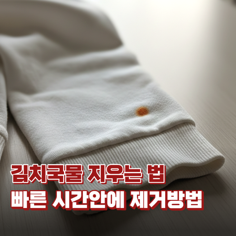 김치국물 지우는 법, 재질별 얼룩 힘들이지 않고 5분 만에 지우는 법