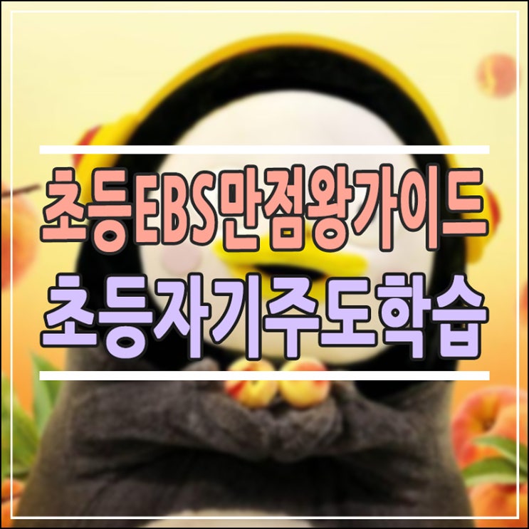  2026 초등 EBS 만점왕 완벽 가이드: 수학 연산부터 전 과목 강의 활용법 총정리