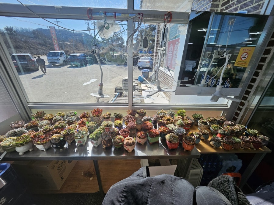 공성짬뽕 사진 6