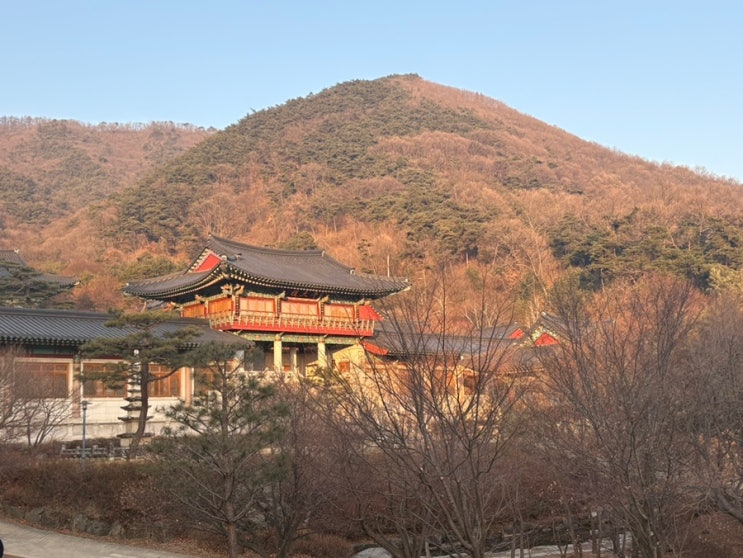  ️ 충주 석종사 5분만 바라봐 1박 2일 템플스테이 후기 
