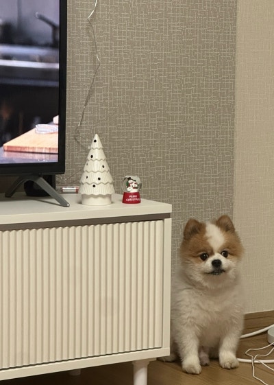 사진 3