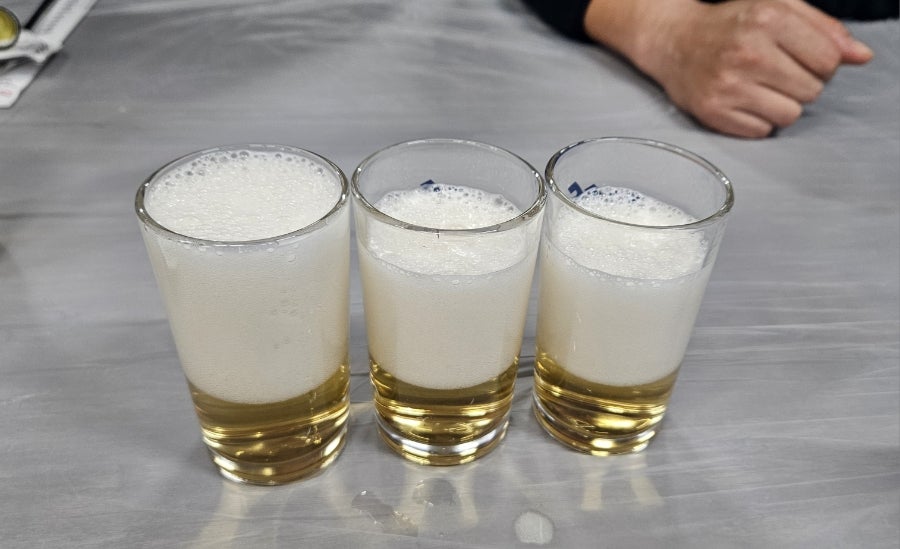 독도회사랑 사진 4