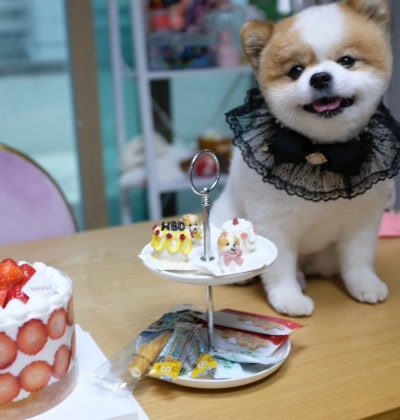 사진 2