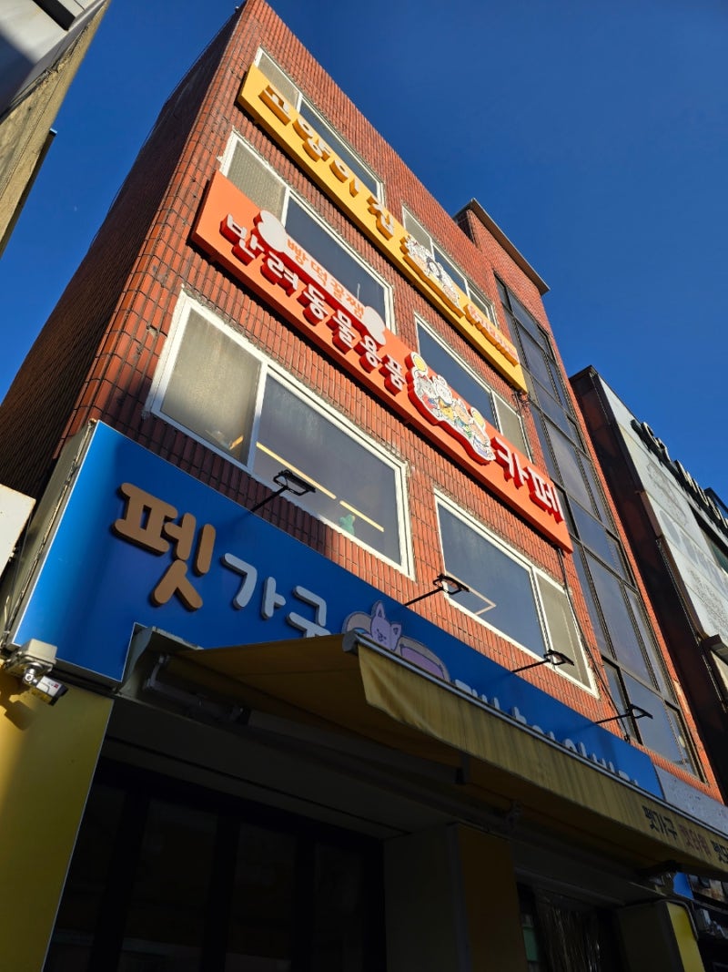 빵떡꿀쨈 카페