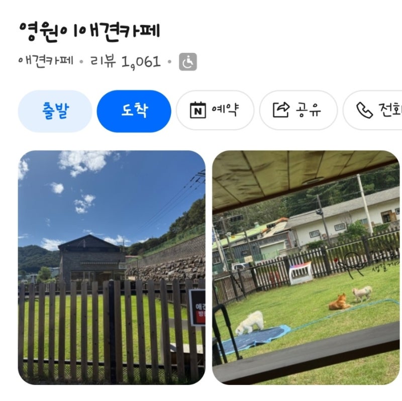사진 4