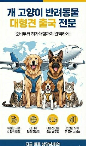  반려동물 에어카고(Air Cargo)란? 강아지·고양이 해외 운송 방법